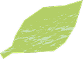 prop